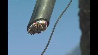 ONDA DE FURTO DE FIOS TELEFÔNICOS É REGISTRADA EM PONTES E LACERDA