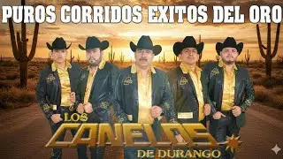 🤠Las 20 Mejores Canciones de Corridos Norte&ntilde;os🤠Los Canelos de Durango Mix Exitos