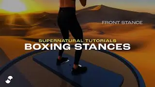 Boxing Stances