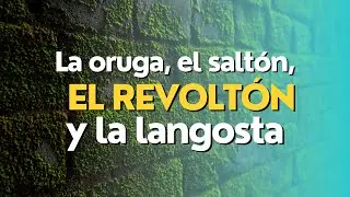 La oruga, el saltón, el revoltón y la langosta  | Sanidad Interior