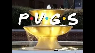 TV Show Compilation - Doug The Pug