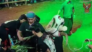 THELON BUDOYO KALAPAN FULL PANJAK