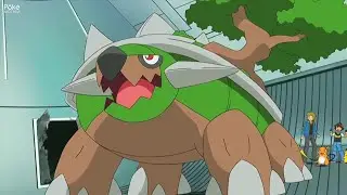 Turtwig, Grootle e Torterra