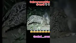 bhoot #Rahasya #mein #malvideo