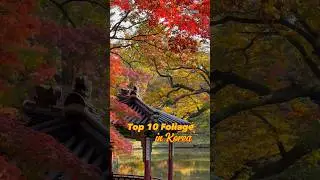 Top 10 Autumn Foliage spots in South Korea
