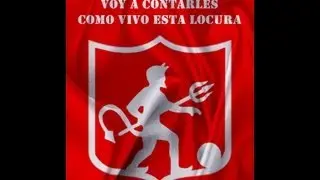Voy a contales como vivo esta locura - DRB