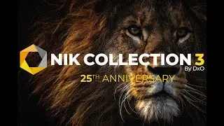 Nik Collection 3 by DxO - 25th Anniversary / 25 New Presets - 25 Times the Inspiration