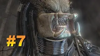 Predator recover the ancient Predator Mask | Alien vs  Predator 2023 #7