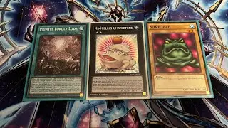 My Fun Yugioh Primite Toadally Awesome turbo deck profile 11/25