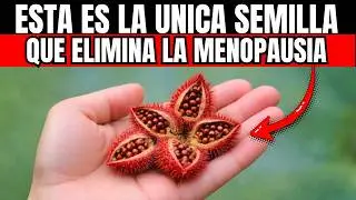 AFTER 40: This SEED BALANCES your HORMONES and RESTORES your Energy