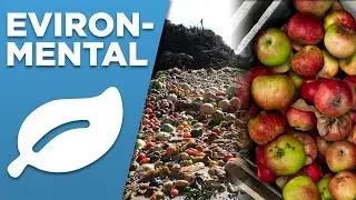 07 - Environmental Contributions