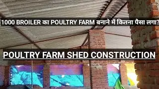 poultry farm shed construction/poultry farm business plan/poultry farm business/poultry/poultry farm