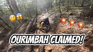 Exploring ourimbah!