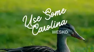 Wesko - Use Some Carolina (Official Visualizer)
