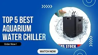 Top 5 Best Aquarium Water Chiller in 2025 on AliExpress