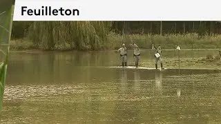 Les agents de l'ONCFS ont des missions scientifiques sur la faune de plaine ou les oiseaux.
