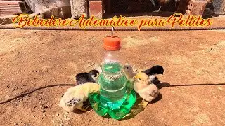 Mira este Excelente invento casero hecho solo con botellas descartables ♻️. Un Bebedero Automático.