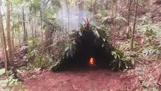 Building a Survival Shelter in a forest| primitive technology shelter