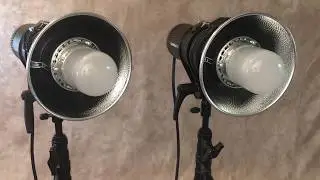 Profoto Compact Plus 600 (2); zoom reflectors and glass domes