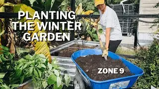 Planting Winter Garden Zone 9