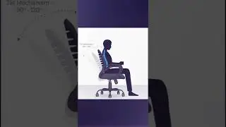 CELLBELL Desire C104 &mdash; Best Budget Mesh Office Chair for Home Office Comfort!