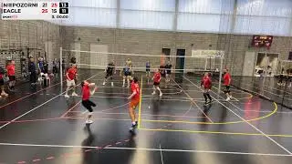 Niepozorni- Eagle 27/12/2025