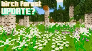 New Minecraft Birch Forest Update?