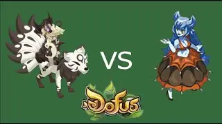 [Dofus Unity] 3.4 Anerice solotage Xelor