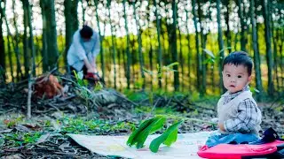 Single Mom - Tree Cutting Machine, Moving to Build a Wooden House #diy #farming