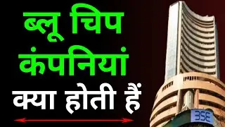 ब्लू चिप कंपनियां क्या होती हैं !