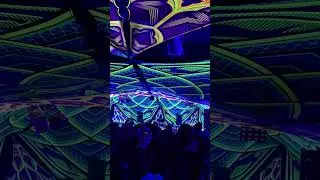 FishEYE playing live at Illusion Party in Turin Italy 2025