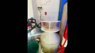 Jebel Ali Aquarium Maintenance Service at BPK