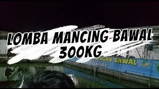 LOMBA MANCING IKAN BAWAL 300KG DI KOLAM AJIRO SAKURA