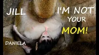 WOW Surprise !!! Daniela deep hungry till confuse get Milk Jill| Daniela cry angry cos Jill no milk.