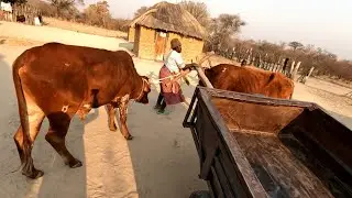 Village Ladies Can do this.. Zimbabwean Village
