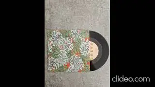 Fatnotronic - Margarida