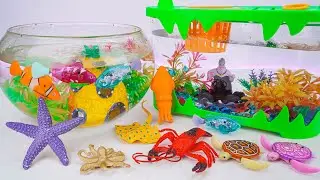 [🐟toy asmr🐠] Zuru Robo Turtle ＆ Sea Animal Toys ＆ Fish Tank Playset ASMR 🐚 Satisfying with Unboxing