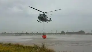 Bambi Bucket In Argentina