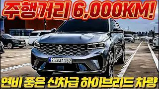 💰 6천km 탄 25년식 르노 그랑 콜레오스! 신차급 하이브리드 SUV 가성비 끝판왕!