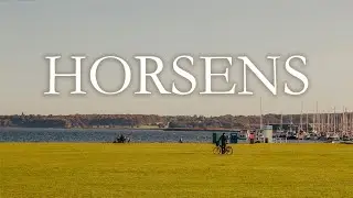 HORSENS - DENMARK 2020 // Fanimator