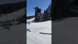 Should I stick to skating or snowboarding?