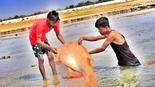 fishing video//village fishing 420