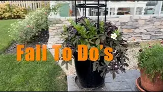Мой список из 10 дел на осень 🍂2025 ✅ (что нужно сделать для сада и природы)