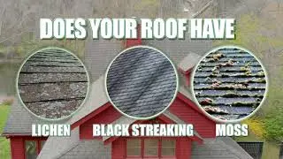 Safe Roof Cleaning LLC Promo