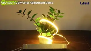Lifud GBD DALI RGBW Demo: DMX512 CV Driver for LED Strips#lifud  #dmx512  #rgbw #leddriver