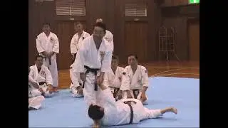 少林寺拳法 (Shorinji Kempo)　森道基先生　柔法28選
