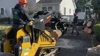 Complete Tree Service in the Hudson Valley ~ Mauricio's Tree Service ~ Tree Removal & Trimming