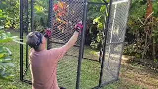 Building Our Parrot Aviary 🦜 | Step by Step Aviary Setup