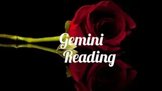 Gemini February 2026 (TRUE LOVE IS COMING YOUR WAY)🌹