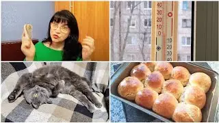 28 января 2026  Краматорск ВЕЧЕР/Не тихо💥💥Летают аппараты🙁Все тает/Посоветуйте краску!🙂Булочки👍Буся😺